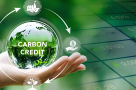 Giá Carbon Tại Châu Âu Vượt 80 EUR/Tấn: Áp Lực Chi Phí Phát Thải Tiếp Tục Gia Tăng